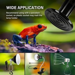 2-Pack 100W Infrared Ceramic Reptile & Poultry Heat Lamps