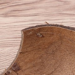 Coconut Hide for Crested Gecko Natural Reptile Hideouts Hut Cave Habitat