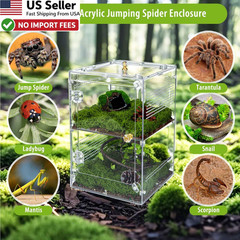 Large Jumping Spider Enclosure 2 in 1 Ventilated Reptile Terrarium Acrylic