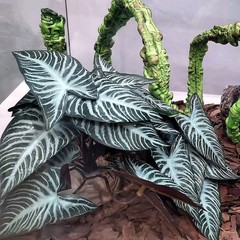 Reptile Plants,Terrarium Decor,Amphibian Habitat Decor,Artificial Plants for …