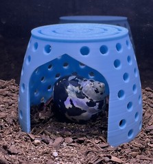 Hermit Crab Hideout Climbing Dome Cave Hermit Crab Pet Supplies Ornament Toys