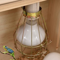 Reptile Heat Lamp Guard Bird Turtle Cage Pets Amphibians Supplies Convenient