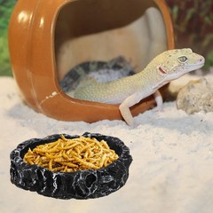 4 Pack Reptile Food Dish with Feeding Tongs, Resin Reptile Water Dish Food Bo…