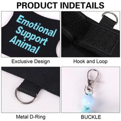 Adjustable Bearded Dragon Harness and Leash Set for Outdoor Training