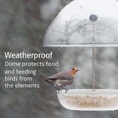 Mealworm Feeder – Jacobi Jayne® Pearl Feeder – Dome Bird Feeder for Small B