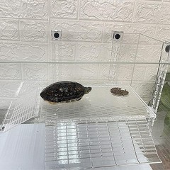 Aquarium Turtle Basking Platform 11.81 Inch Acrylic Ideal for Feeding Resting