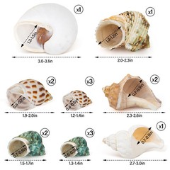 15 Pcs Hermit Crab Shells Natural Seashells for Home Decor Fishtank Aquarium