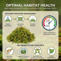 Sphagnum Moss for Reptiles Terrarium Reptiles Moss Green Dried Peat Moss Habitat