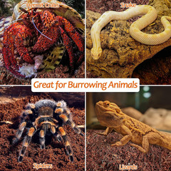 2 Pack Natural Coconut Fiber Substrate for Reptile- Premium Compressed Coconut H
