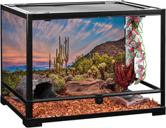 36×18 inches Terrarium Background Blue Sky Cloud Huge Cactus Oasis Gobi Reptile