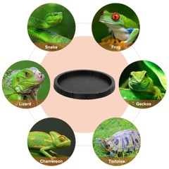 2PCS Reptile Shallow Water Dish Plate Tortoise Food Feeding Bowl Small Pet Gift