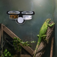 Reptile Water Dish Food Bowl Feeding Station for Crested Gecko Lizard Feeder