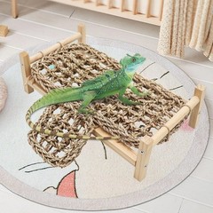 Dnoifne Bearded Dragon Bed with Climbing Ramp – Natural Wood and Seagrass Ham…