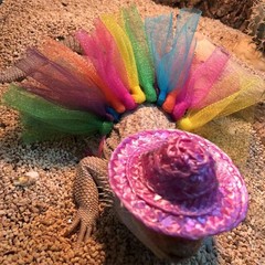 Reptile Tutu Skirt Cosplay Theme Funny Cosplay Accessories for Bearded Dragon