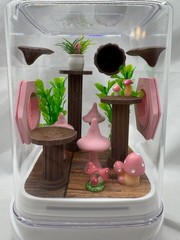 Acrylic Pink Pad Jumping Spider Terrarium – Cute Home Enclosure