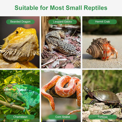 Reptile Water Dish for Bearded Dragon Tank Accessories, Hermit Crab Food Bowl R