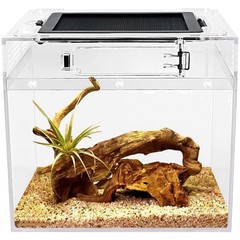 Mini Reptile Tank for Insects, Fish, Tarantula