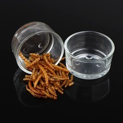 6 Pcs Glass Reptile Feeding Bowl Food Basin Tray Container Water Dish Cup for…