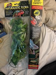 Zoo Med Eco Carpet/Vine/Flora/UVB & Day Bulb/ Thermometer Reptile New
