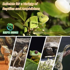 100W UVA Daylight Heat Bulb 2-Pack for Reptiles & Amphibians – Quality