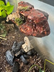 Magnetic Rock Ledges For Terrariums And Cages (Limited Edition) Medium LAVA