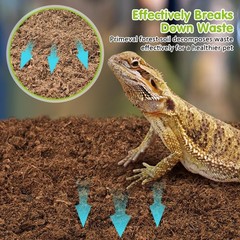 VCEPJH 2 Pcs Reptile Substrate Burrowing Tortoise Bedding for Habitat Bearded…