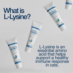 Felisyl L-Lysine Gel for Cats & Kittens (5oz) – Immune System, 1 Pack, Paste
