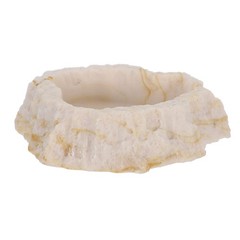 Anti Escape Feeding Bowl Chameleon Dish Bearded Dragon Accessories