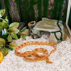 Reptile Hide Cave 9.05×6.29×3.93in Turtle Basking Platform – Safe Hiding Spot