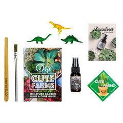 DIY Small Terrarium Kit – Perfect Gift for Plant Lovers