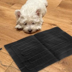 Hamster Dog Electrical Animal Insulation