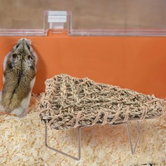 Large Lizard Grass Bed Lounger for Bearded Dragon Rest Gecko Sleeping