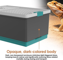 Self-Cleaning Reptile Feeder Insect Habitat with Escape-Proof Lid, Removable Cli
