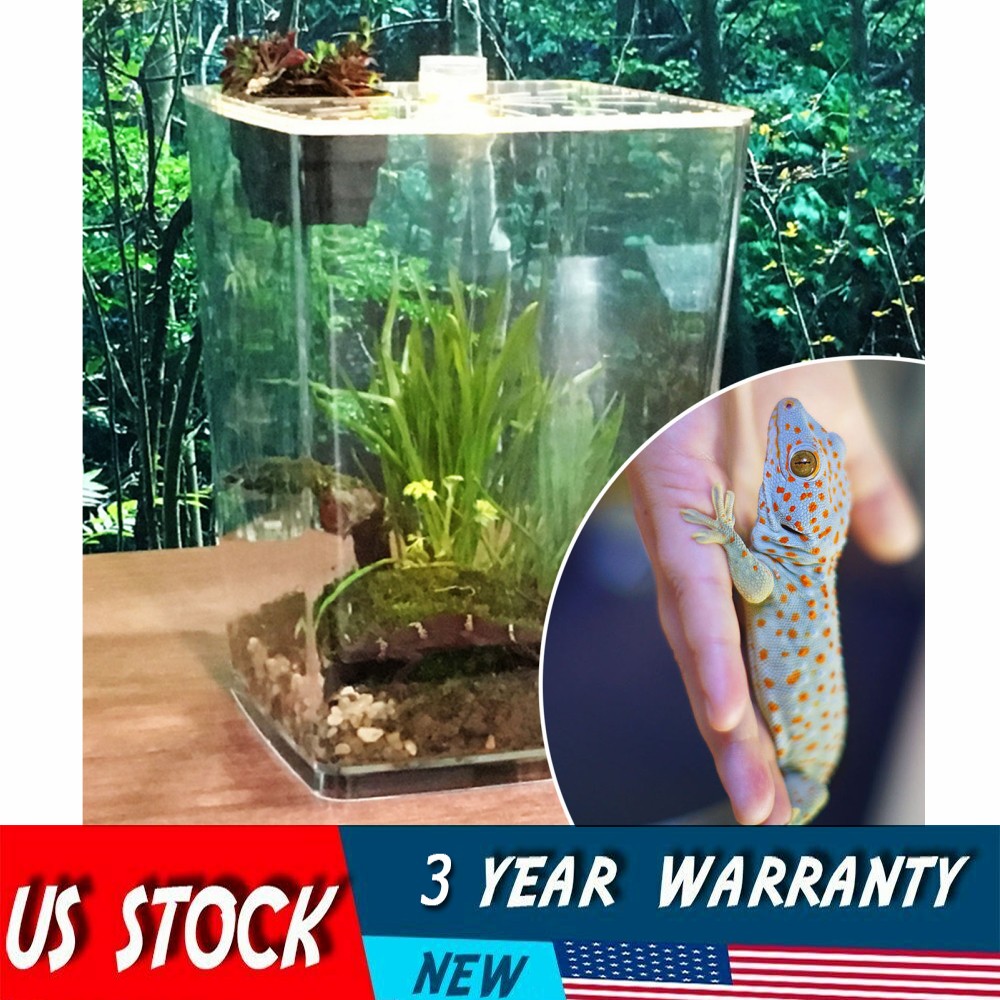 Large Acrylic Reptile Terrarium Gecko Lizard Spider Vivarium Enclosure Tank