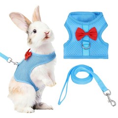 Rabbit Harness and Leash, Small Pet Cute Vest Harness Leash(S, Sky Blue)