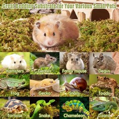 1.3 Lb Natural Sphagnum Moss Reptile Bedding Nesting Hamster Terrarium Snake
