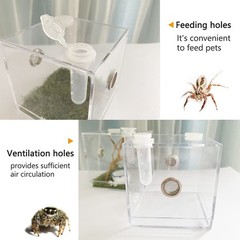 JOBEDE Jumping Spider Enclosure, Habitat with Dropper Clear