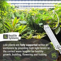 Dr Tims Aquatics Reptile Bird Systems Proten New Dawn 7 Watt Led Fixture 119003