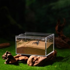 Reptile Terrarium Habitat Acrylic Crawling Pet Box Containers with Cover