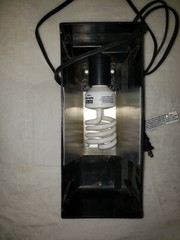Reptile Terrarium with Lamps and Accessories Lizard Iguana