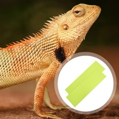2Pcs Durable Light Green Reptile Carpet Mat Soft Non Stick Terrarium Liner