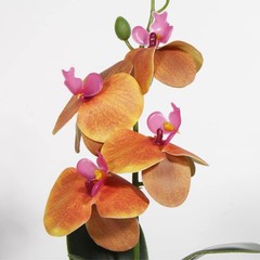 Artificial Orchids Plants, Reptile Terrarium Decor, Bearded Dragon Tank Acces…