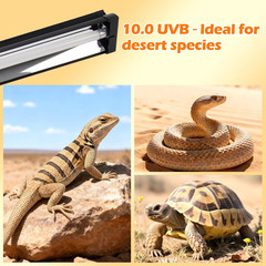 T5 UVB Reptile Light Fixture Combo Kit 8W 10.0 – Complete HO UVB Light for Repti