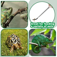 Stainless Steel Reptile Feeding Tongs 10.6″ Curved Straight Tweezers