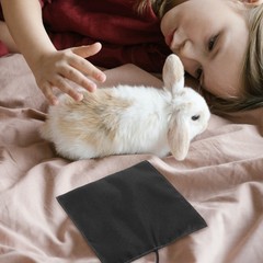 Usb Small Heating Pad For Hamster Reptile Carbon Fiber Pet Warm Mat 14 cm