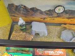 COMPLETE REPTILE TERRARIUM WITH SUPPLIES