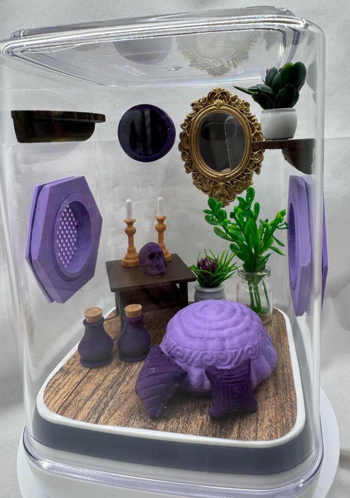 Elegant Jumping Spider Terrarium: Custom 3D Printed Habitat for Arachnids