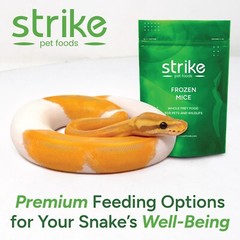 Strike Frozen Mice All Sizes and Quantities- Free S&H! Bundle to Save!