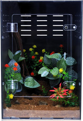 Reptile Enclosure for Crested Gecko – 12X12X18 Acrylic Reptile Tank for Gecko…