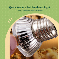 Screw-in electric heat bulb